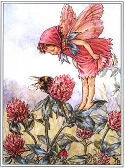 CICELY MARY BARKER (1895-1973) -      A true fairy