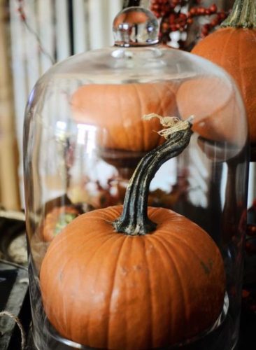 28 őszi dekorációs ötlet – üveg harang3
