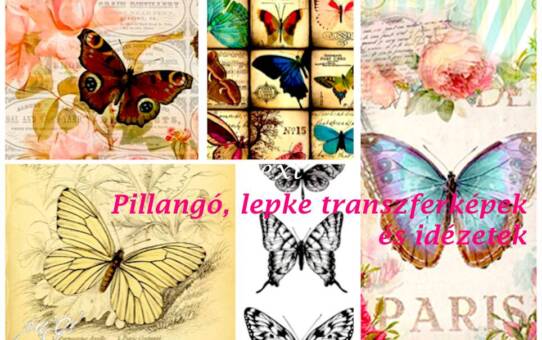 Pillangó, butterfly - transzfer képek, idézetek, érdekességek 1.
