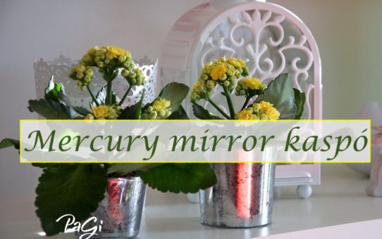 Mercury mirror kaspó - MiniMaLista 44