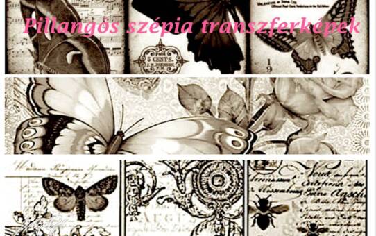 Pillangó, butterfly - transzfer képek, idézetek, érdekességek 2.