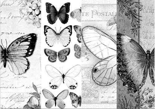 Pillangó butterfly transzferképek idézetek érdekességek 3.