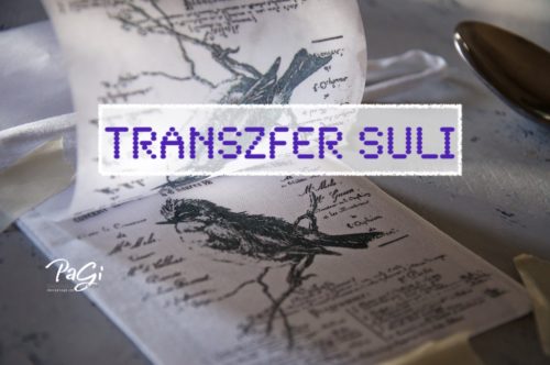 Transzfer suli első lépések11 Kopie 2