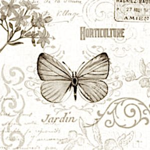 pillangó butterfly Schmetterling sepia11