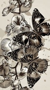 pillangó butterfly Schmetterling sepia21