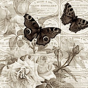 pillangó butterfly Schmetterling sepia28