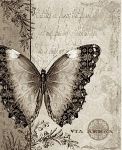 pillangó butterfly Schmetterling sepia34