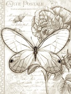 pillangó butterfly Schmetterling sepia38