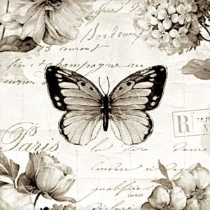 pillangó butterfly Schmetterling sepia6