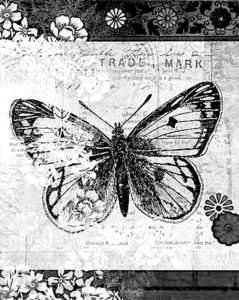 pillangó butterfly Schmetterling16 1