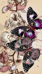 pillangó butterfly Schmetterling18