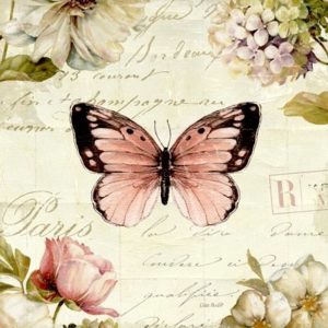 pillangó butterfly Schmetterling2