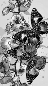 pillangó butterfly Schmetterling22 1