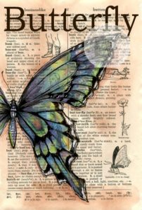 pillangó butterfly Schmetterling27