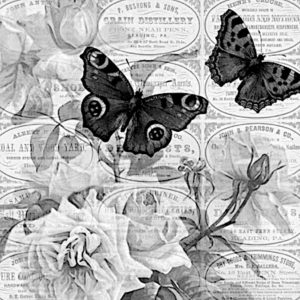 pillangó butterfly Schmetterling29 1