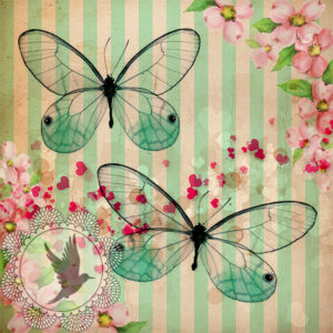 pillangó butterfly Schmetterling3
