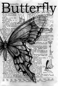 pillangó butterfly Schmetterling30 1