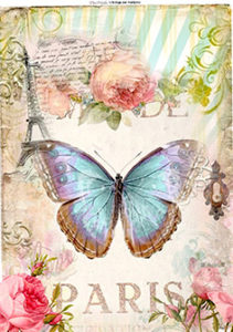 pillangó butterfly Schmetterling32