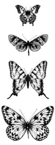 pillangó butterfly Schmetterling4 1
