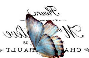 pillangó butterfly Schmetterling4