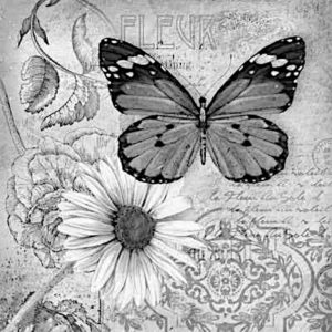 pillangó butterfly Schmetterling45 1