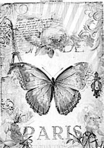 pillangó butterfly Schmetterling6 1