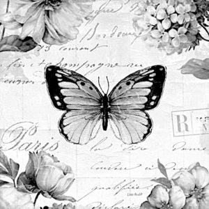 pillangó butterfly Schmetterling7 1