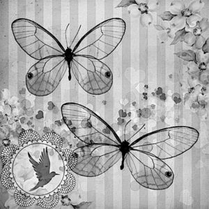 pillangó butterfly Schmetterling9 1